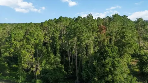 23175 N Buckhill Road Howey In The Hills FL 34737