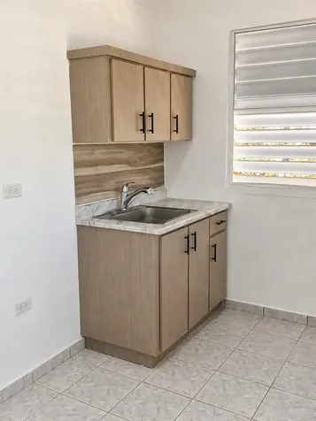 32 Calle Teresa Negrón Bo. Naranjales Mayaguez PR 00680
