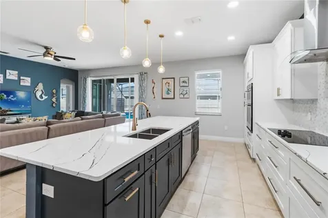 4839 Terra Sole Place St Cloud FL 34771