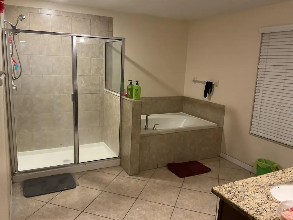 11007 Standing Stone Drive Wimauma FL 33598