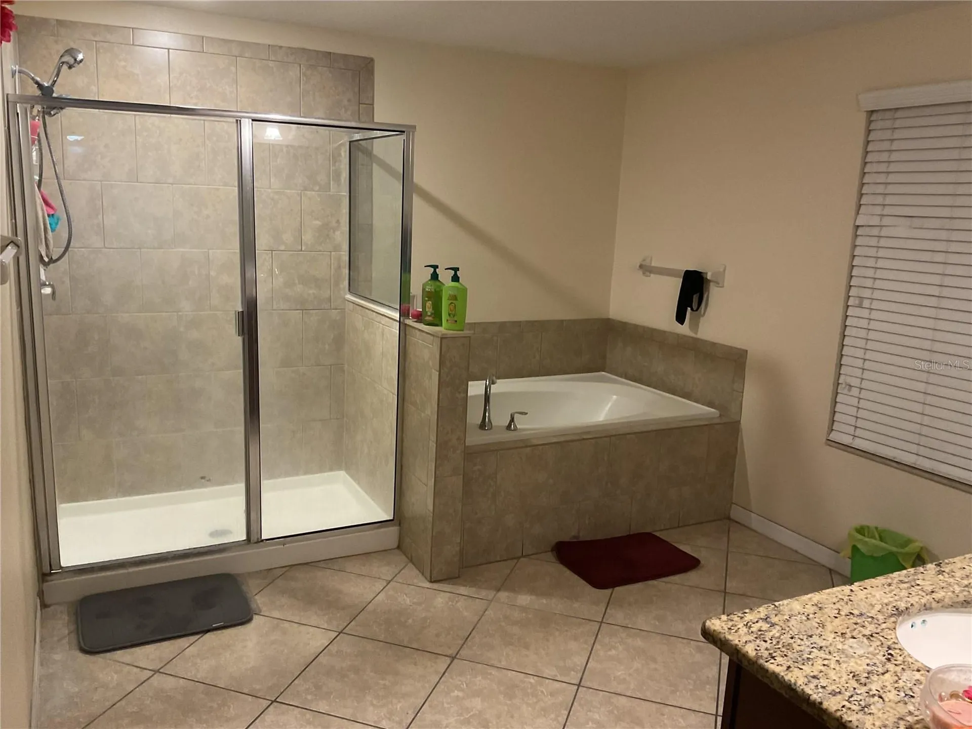 11007 Standing Stone Drive Wimauma FL 33598