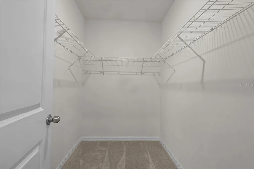 3201 Living Coral Drive Odessa FL 33556