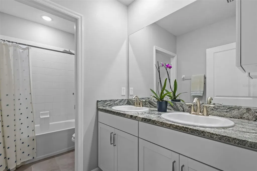3201 Living Coral Drive Odessa FL 33556