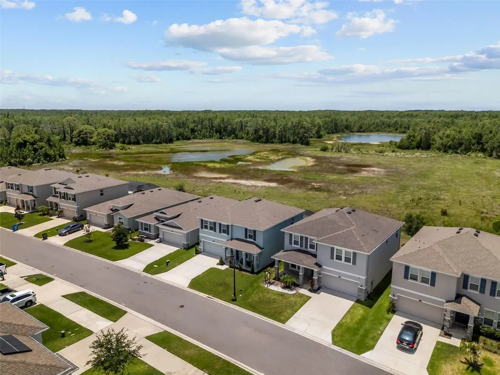 3201 Living Coral Drive Odessa FL 33556