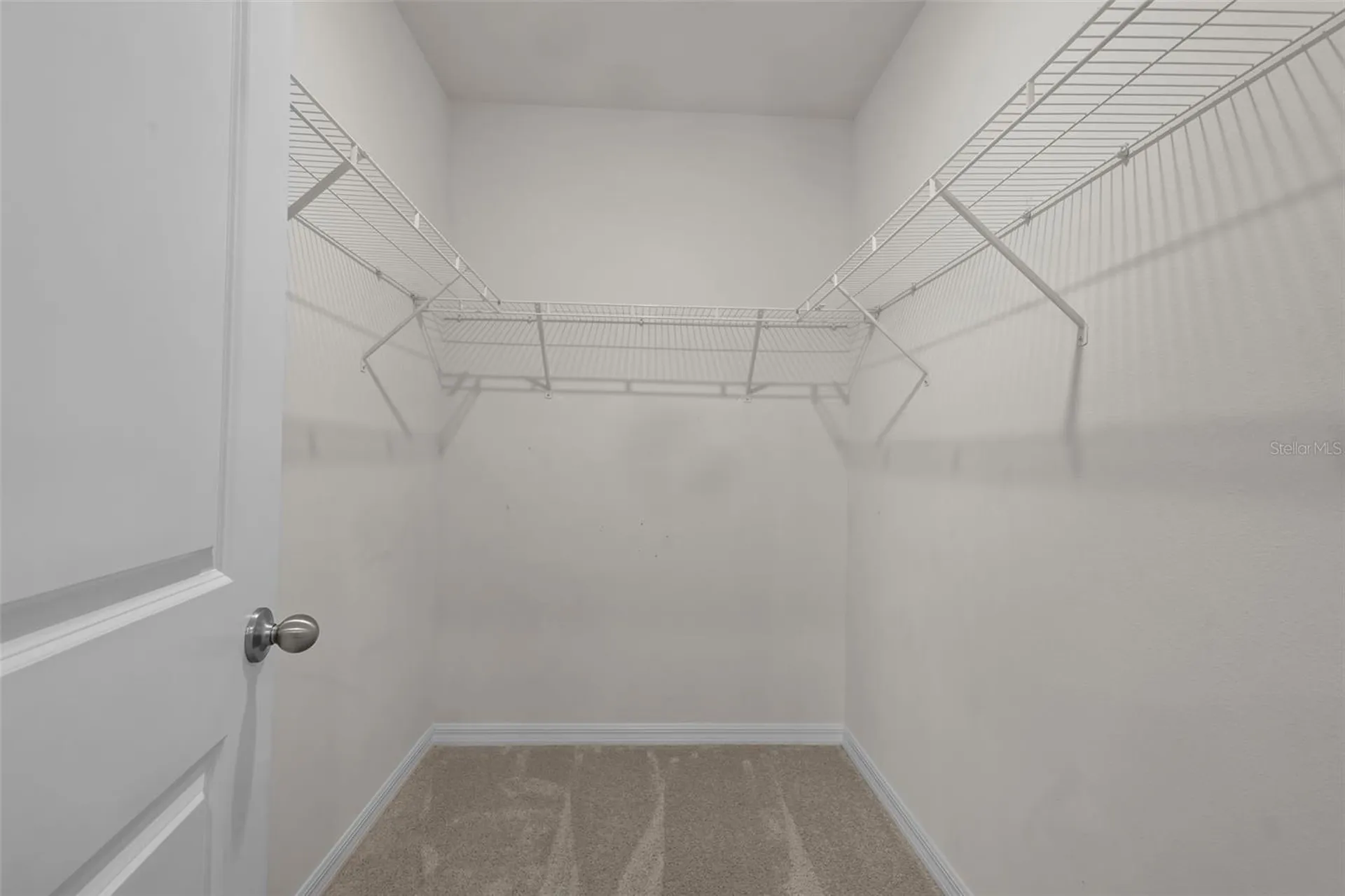 3201 Living Coral Drive Odessa FL 33556