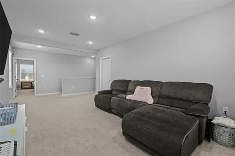 3201 Living Coral Drive Odessa FL 33556