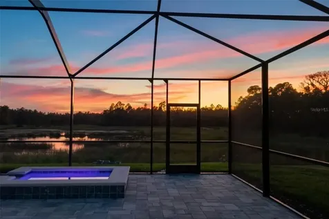 3201 Living Coral Drive Odessa FL 33556