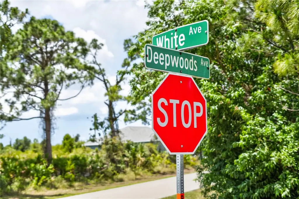 12462 Deepwoods Avenue Port Charlotte FL 33981