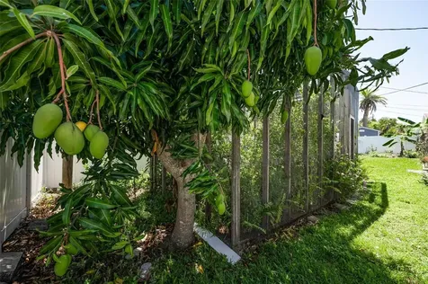 9083 Briarwood Drive Seminole FL 33772