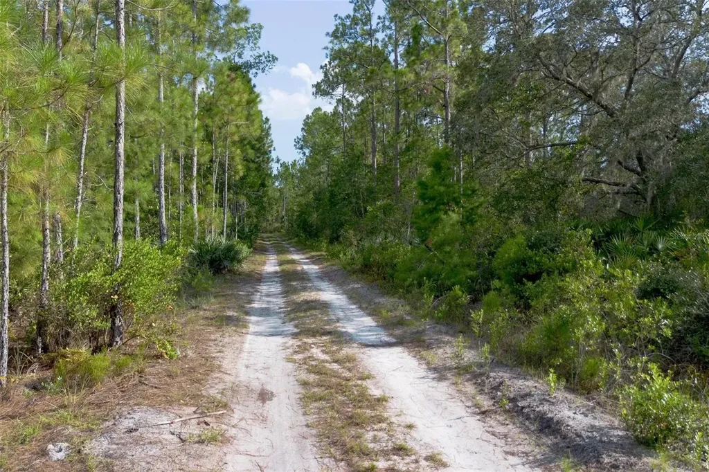 826 Frontier Trail Osteen FL 32764