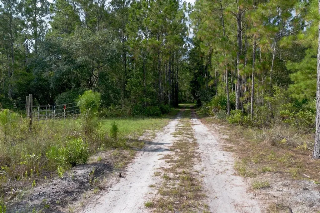 826 Frontier Trail Osteen FL 32764