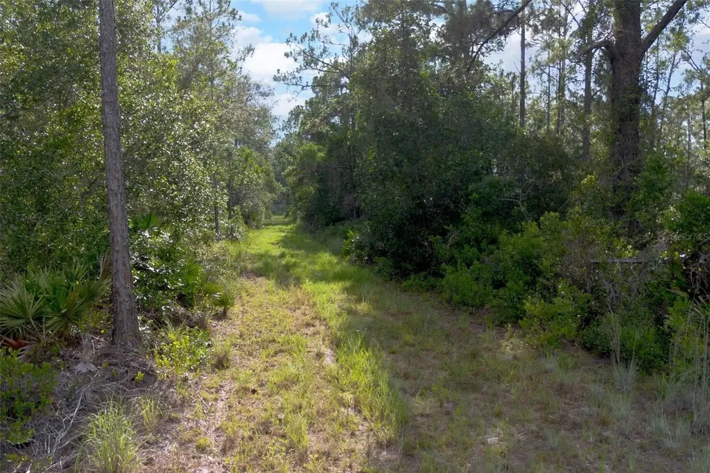 826 Frontier Trail Osteen FL 32764