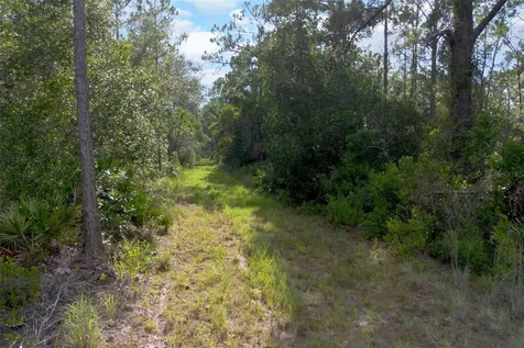 826 Frontier Trail Osteen FL 32764
