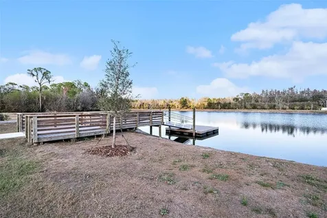 14919 Sterling Spur Avenue Lithia FL 33547