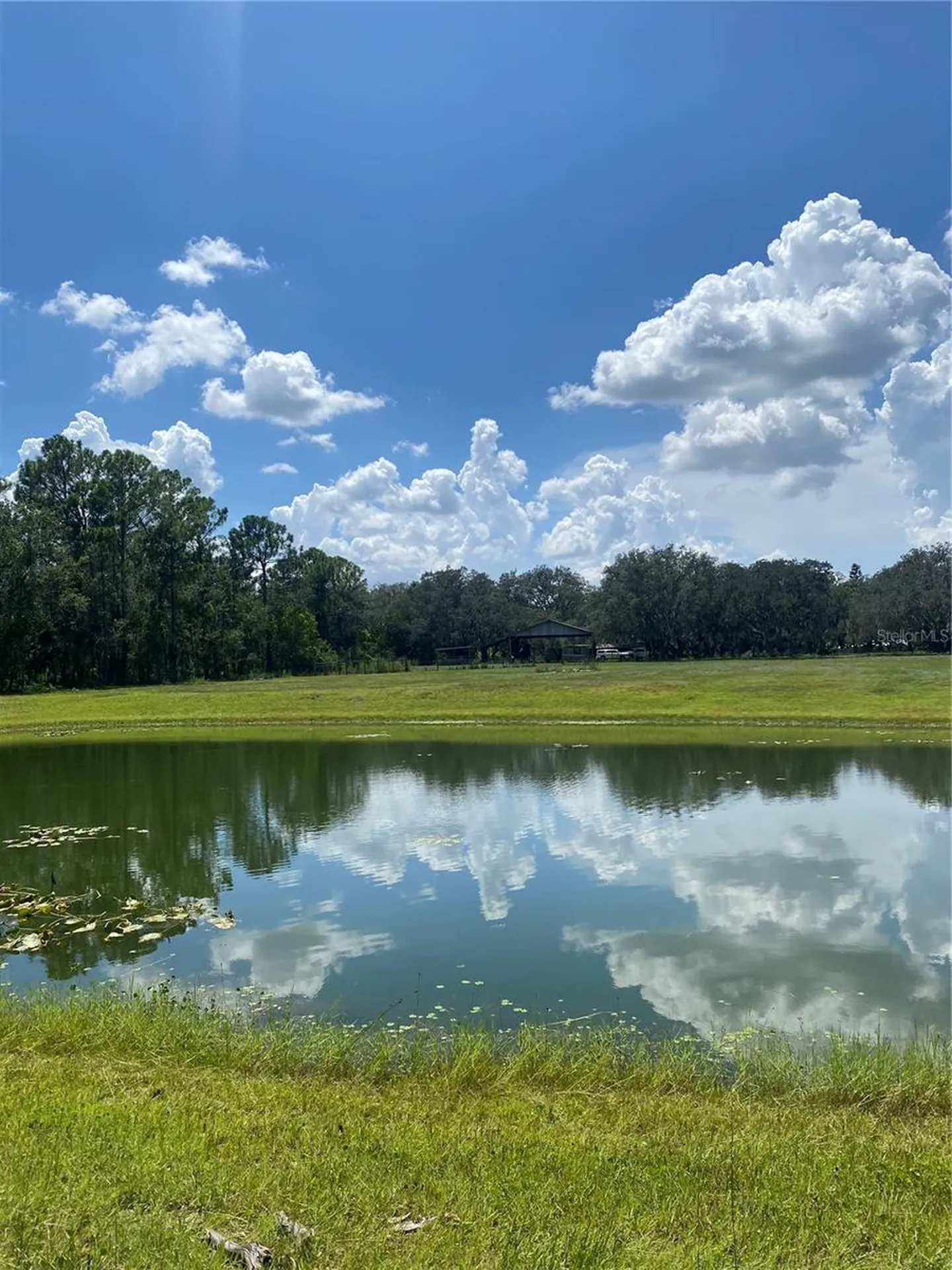 7505 274th Street E Myakka City FL 34251