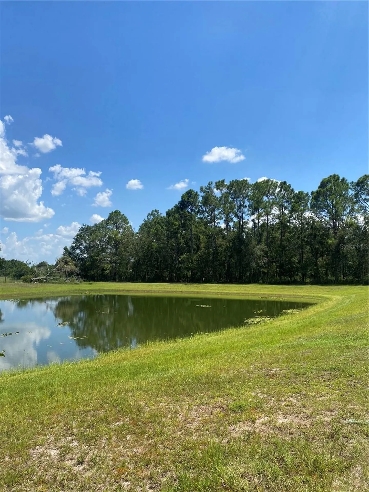 7505 274th Street E Myakka City FL 34251