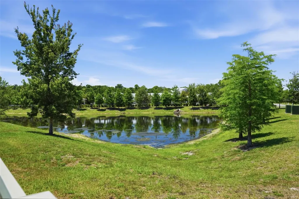 17135 Shell Bay Drive Land O Lakes FL 34638