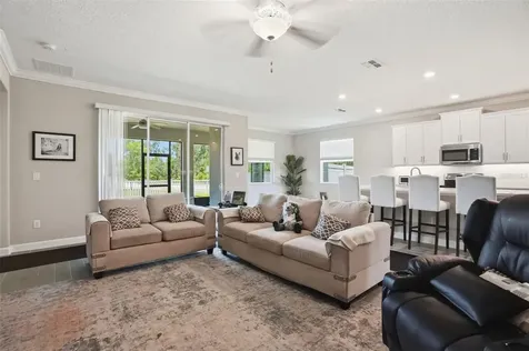 17135 Shell Bay Drive Land O Lakes FL 34638