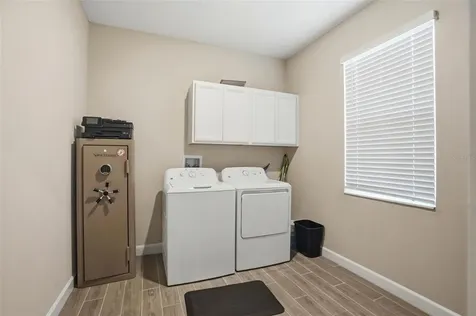 17135 Shell Bay Drive Land O Lakes FL 34638
