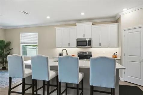 17135 Shell Bay Drive Land O Lakes FL 34638