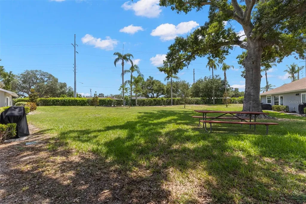 1465 Oak Hill Drive Dunedin FL 34698