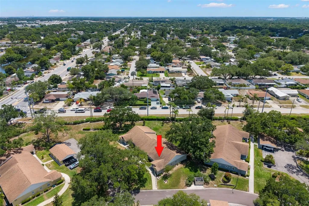 1465 Oak Hill Drive Dunedin FL 34698
