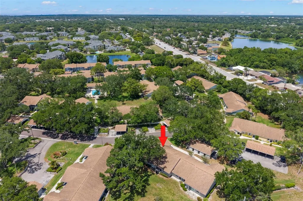 1465 Oak Hill Drive Dunedin FL 34698