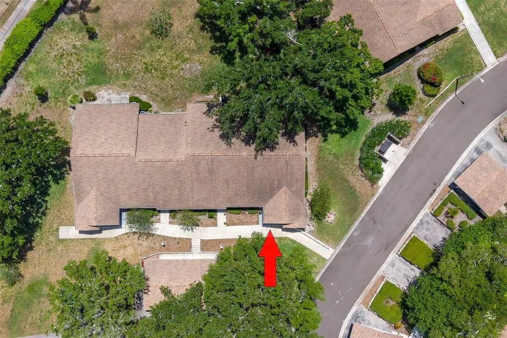 1465 Oak Hill Drive Dunedin FL 34698