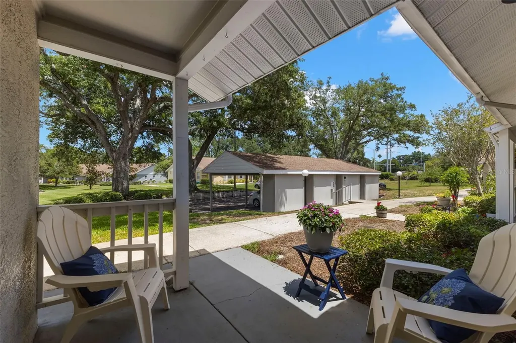 1465 Oak Hill Drive Dunedin FL 34698