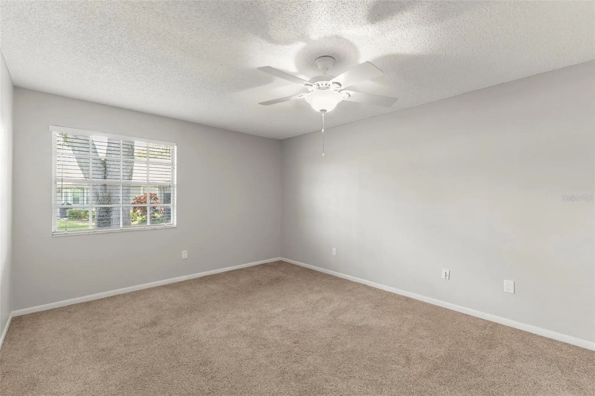 1465 Oak Hill Drive Dunedin FL 34698