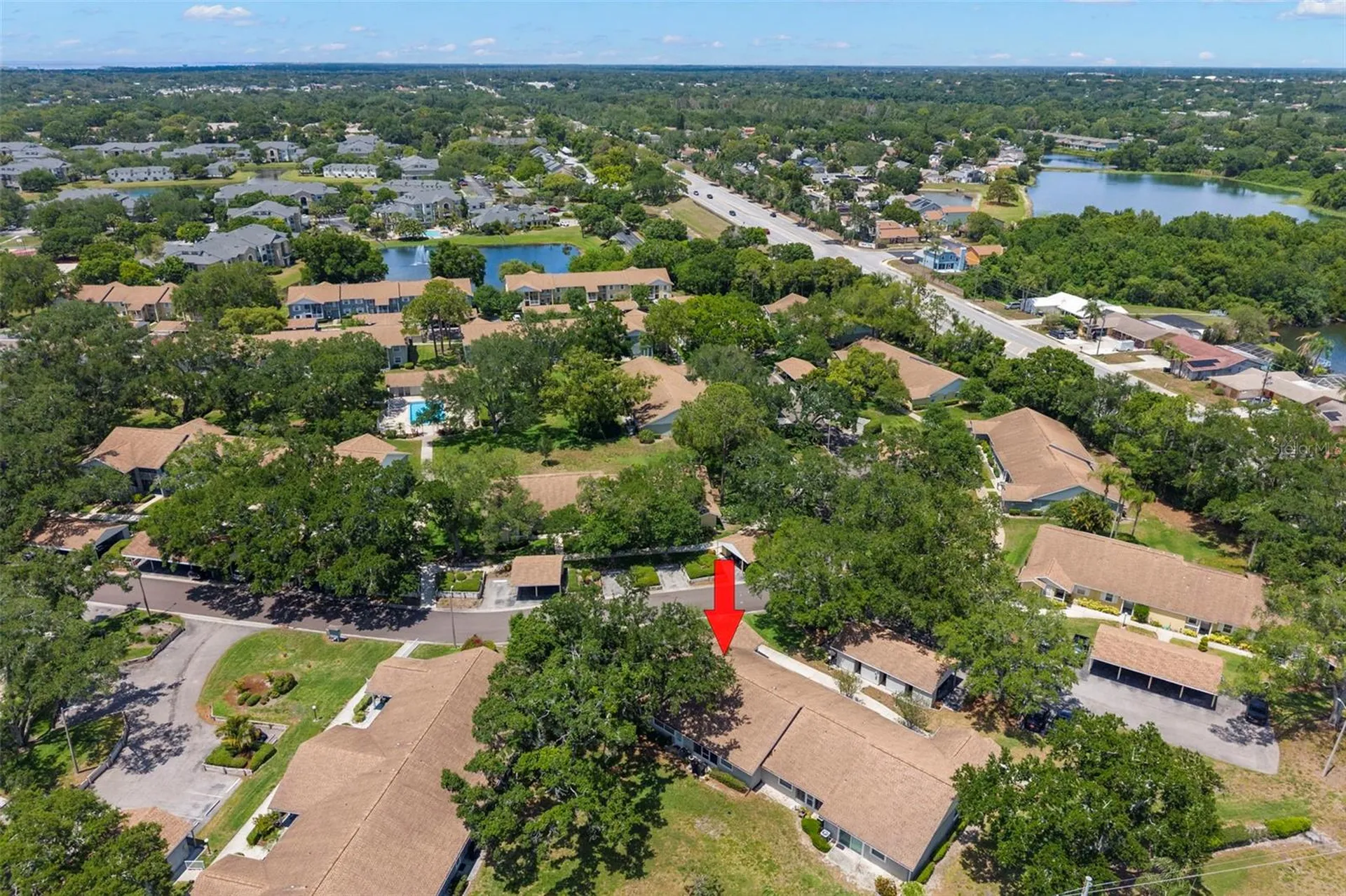 1465 Oak Hill Drive Dunedin FL 34698