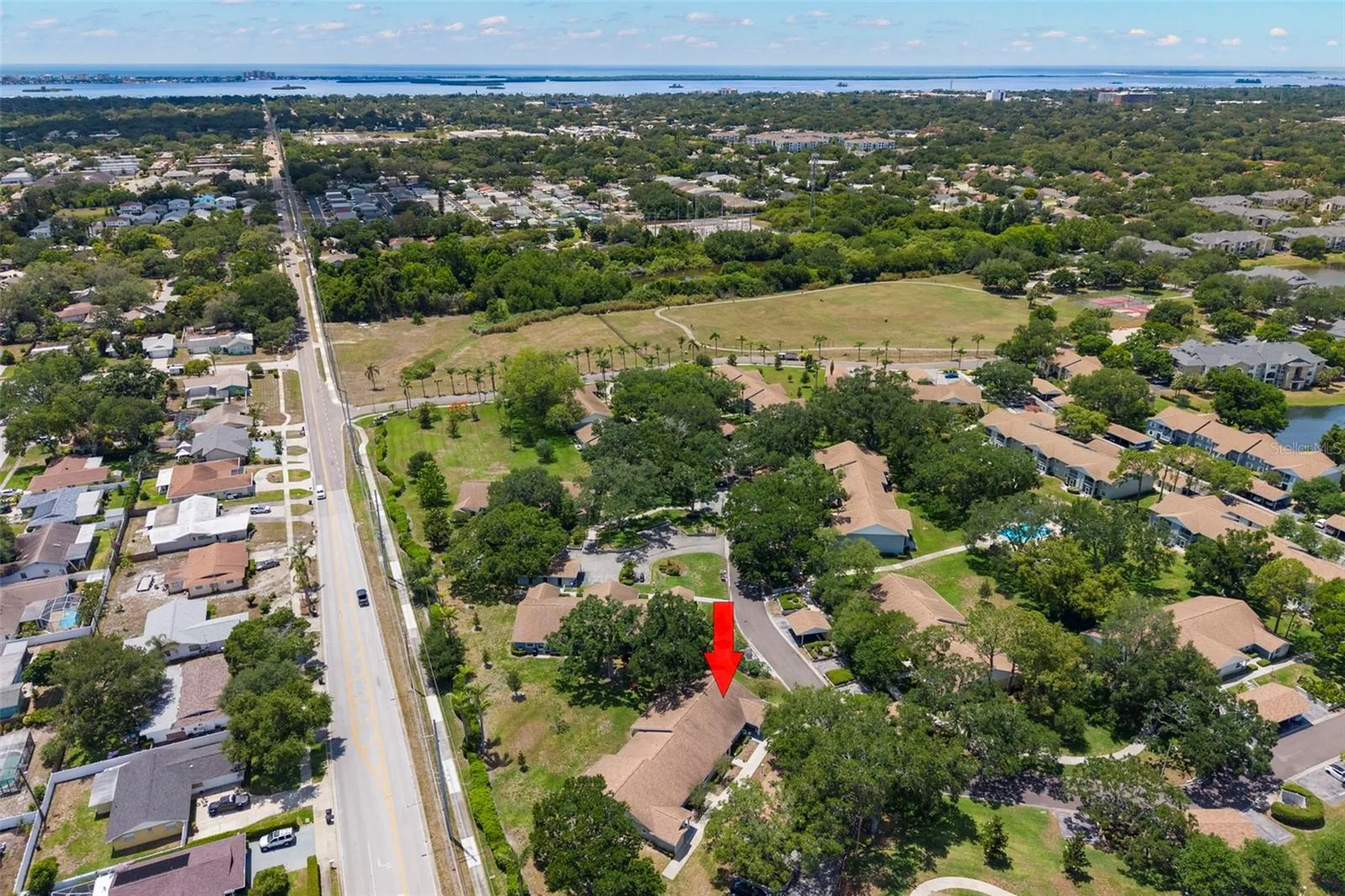 1465 Oak Hill Drive Dunedin FL 34698