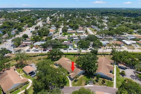 1465 Oak Hill Drive Dunedin FL 34698