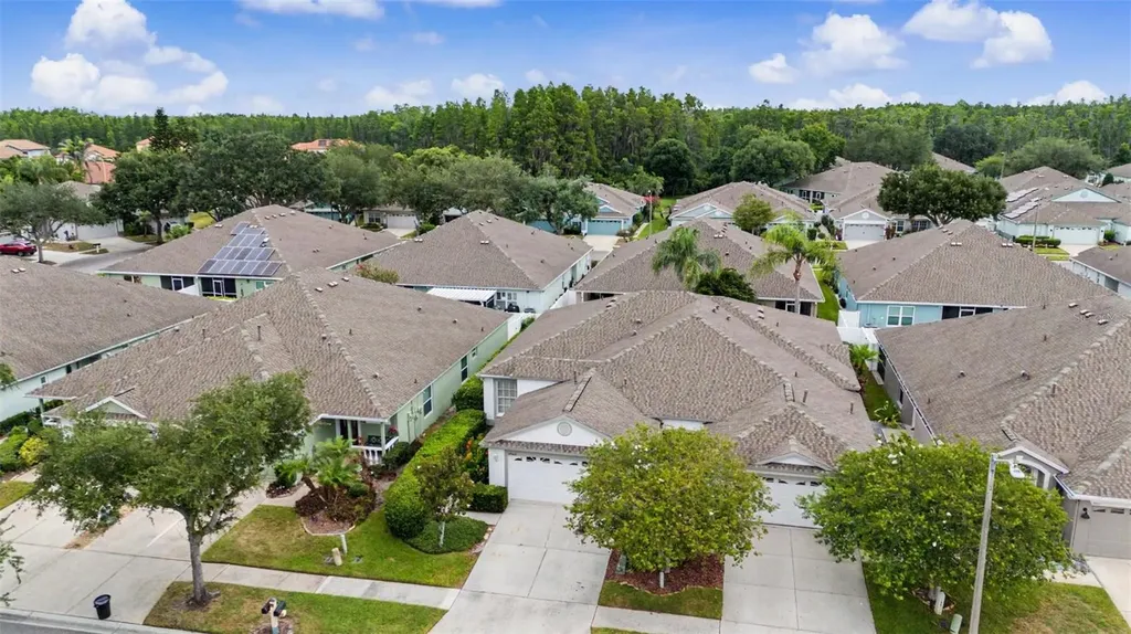 19309 Weymouth Drive Land O Lakes FL 34638