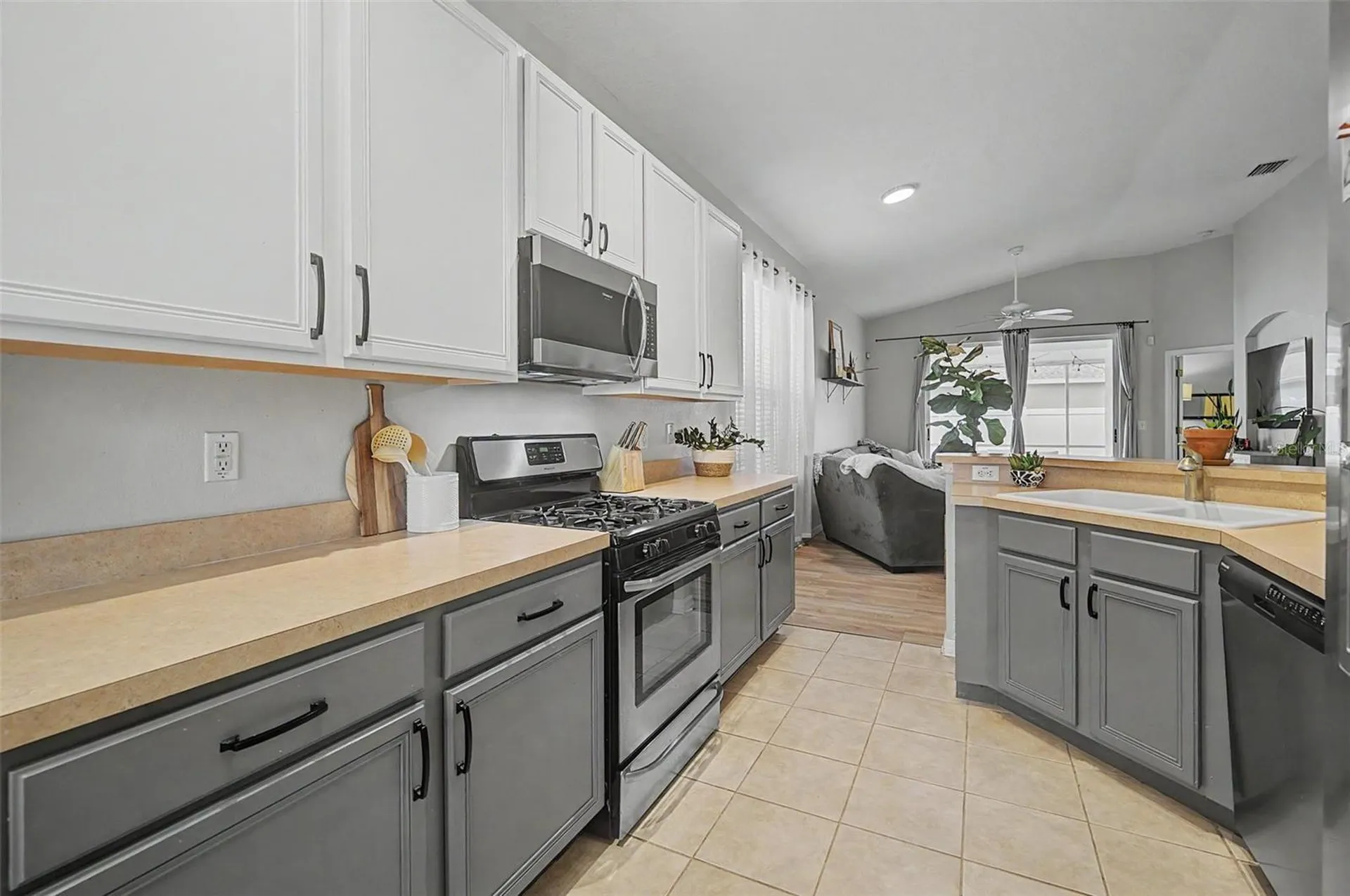 19309 Weymouth Drive Land O Lakes FL 34638