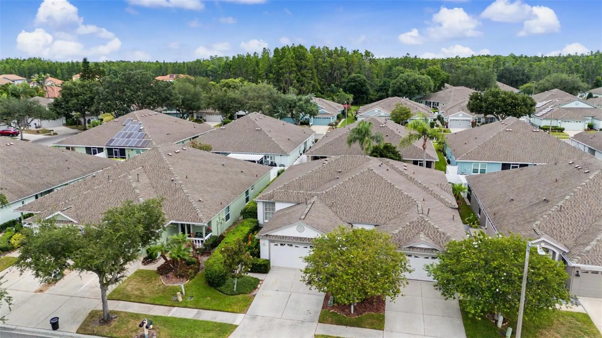 19309 Weymouth Drive Land O Lakes FL 34638