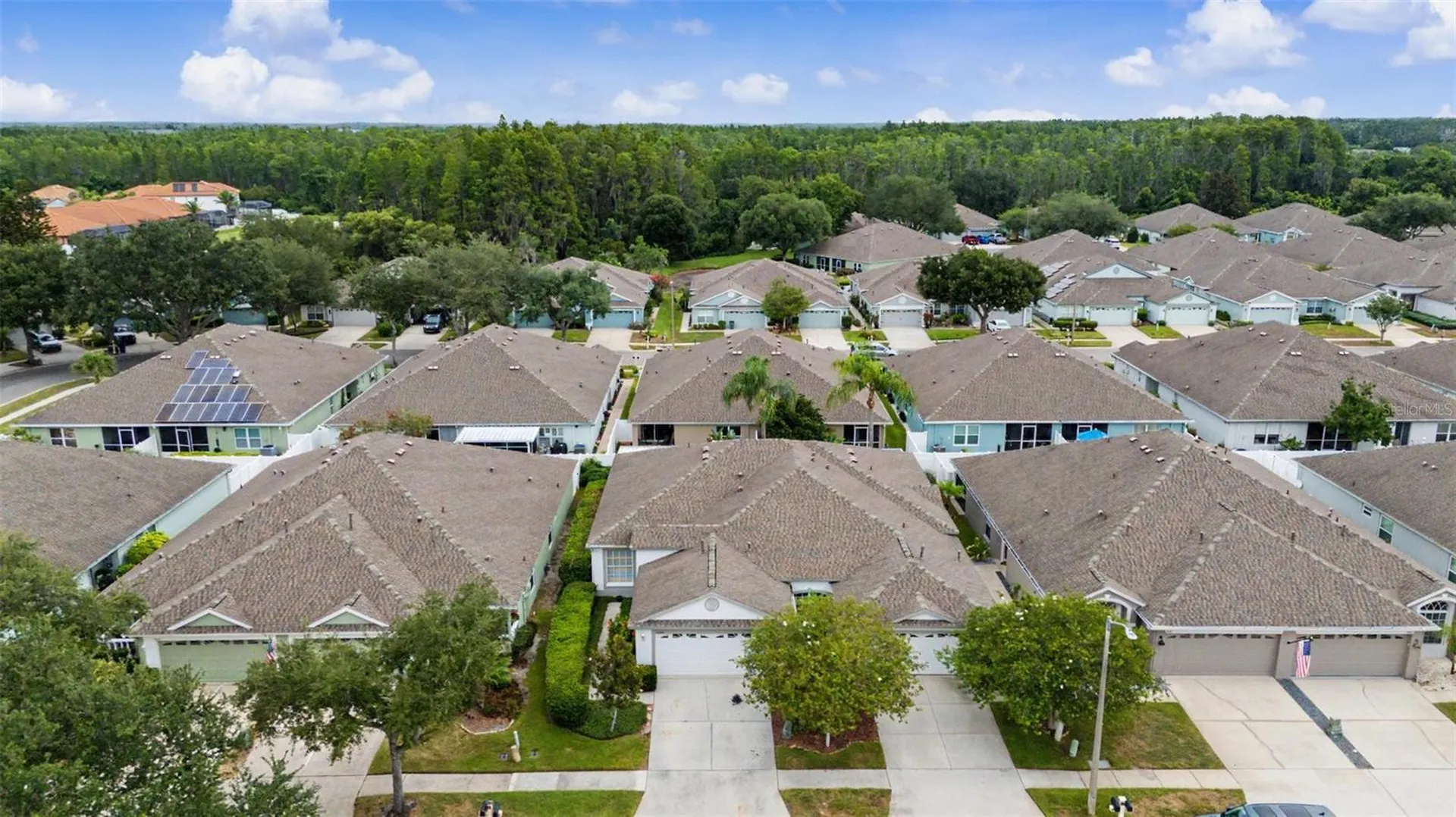 19309 Weymouth Drive Land O Lakes FL 34638