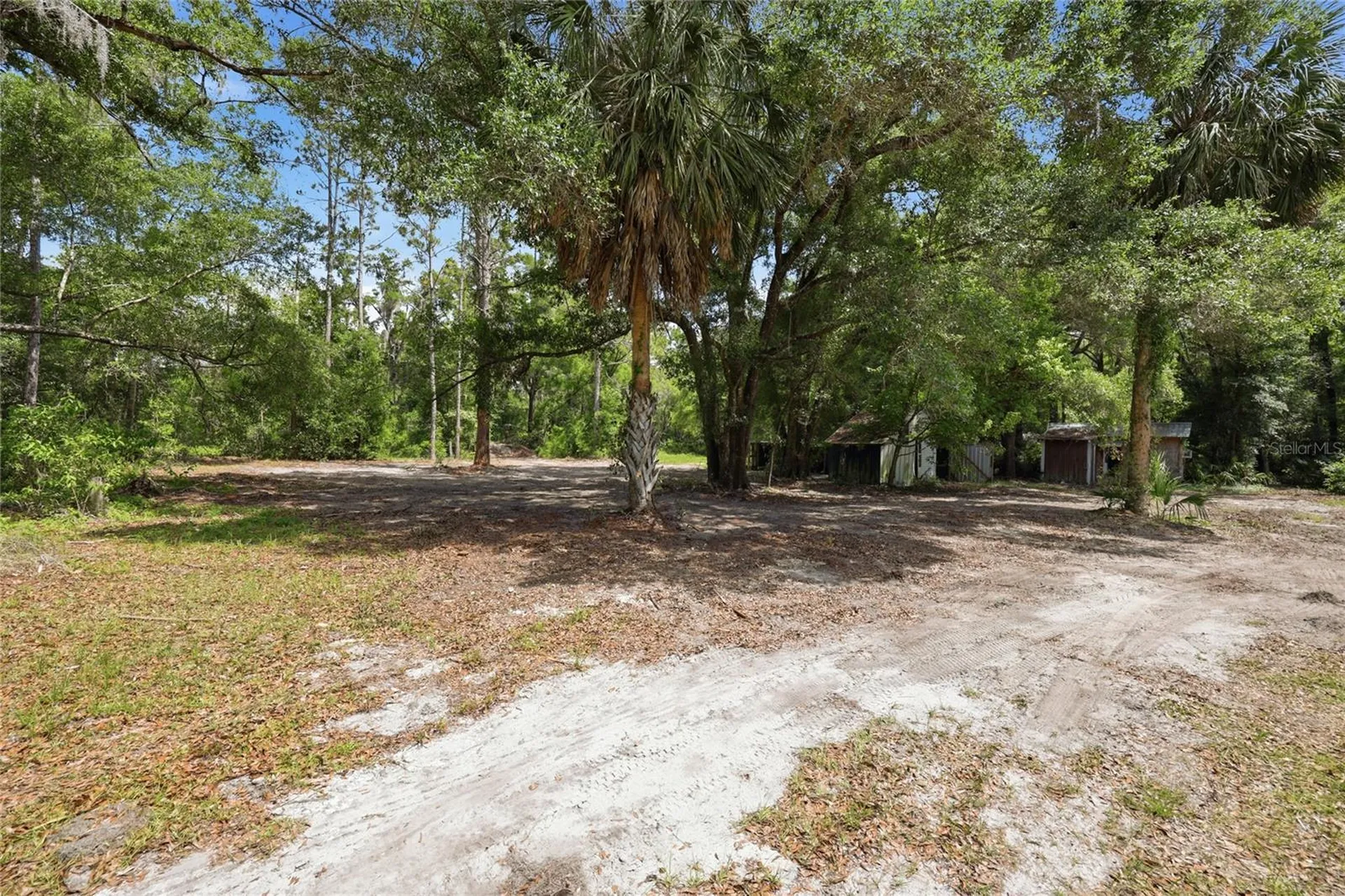 9580 NE Highway 351 Old Town FL 32680