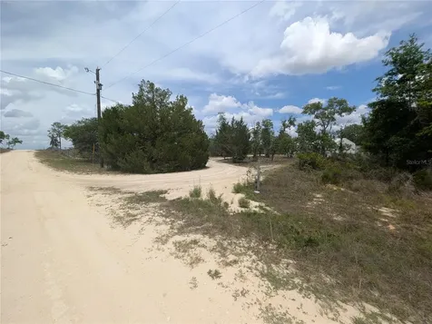 1871 NE 154th Avenue Williston FL 32696