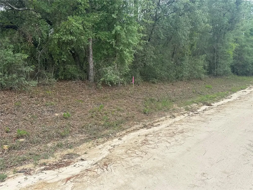 NE 112th Court Archer FL 32618