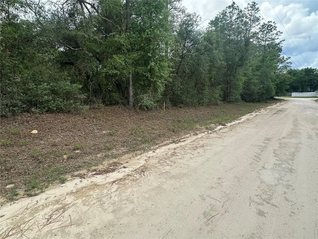 NE 112th Court Archer FL 32618