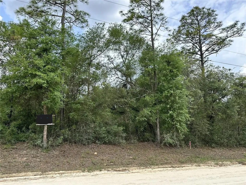 NE 112th Court Archer FL 32618