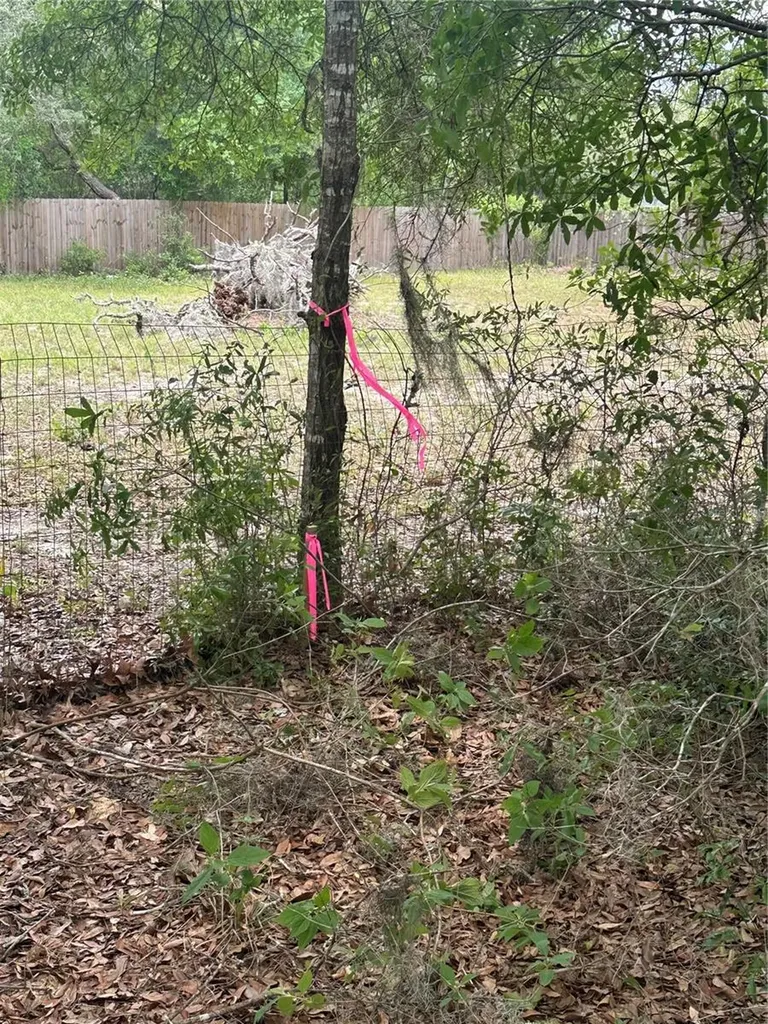 NE 112th Court Archer FL 32618