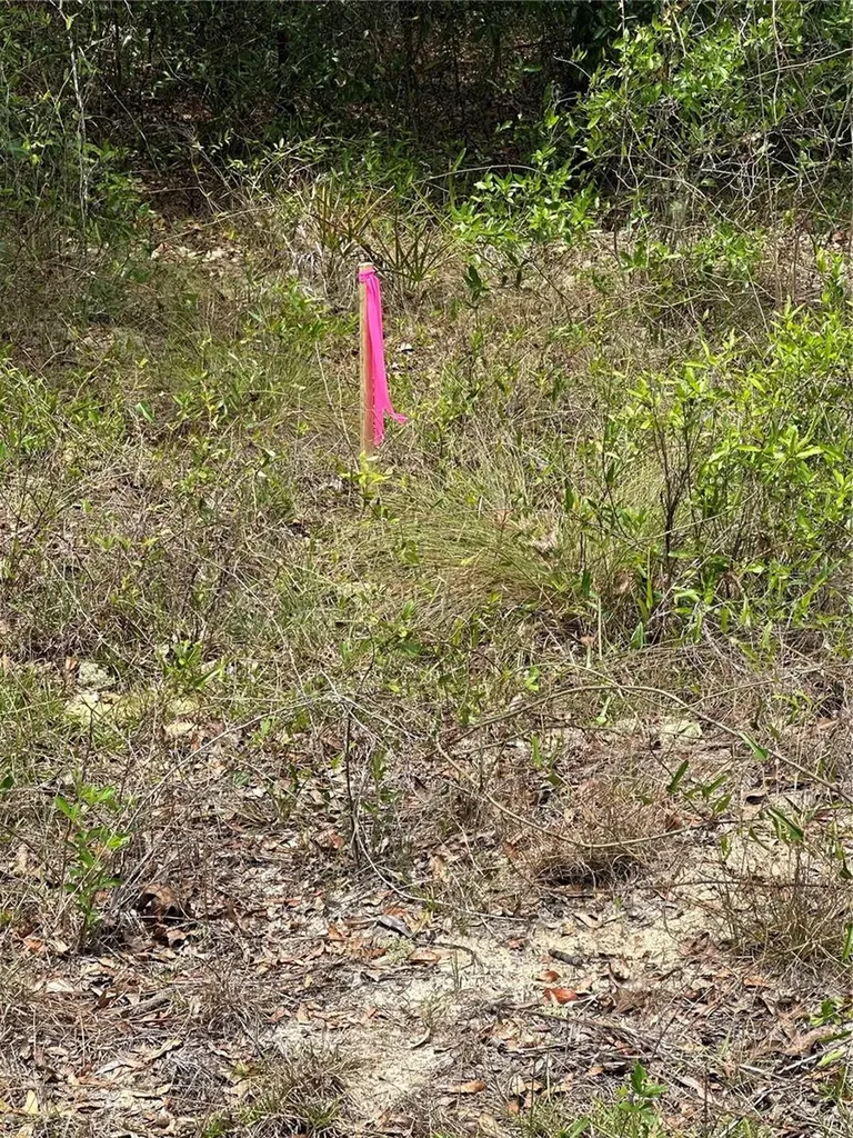 NE 112th Court Archer FL 32618