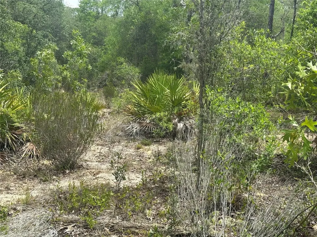NE 112th Court Archer FL 32618