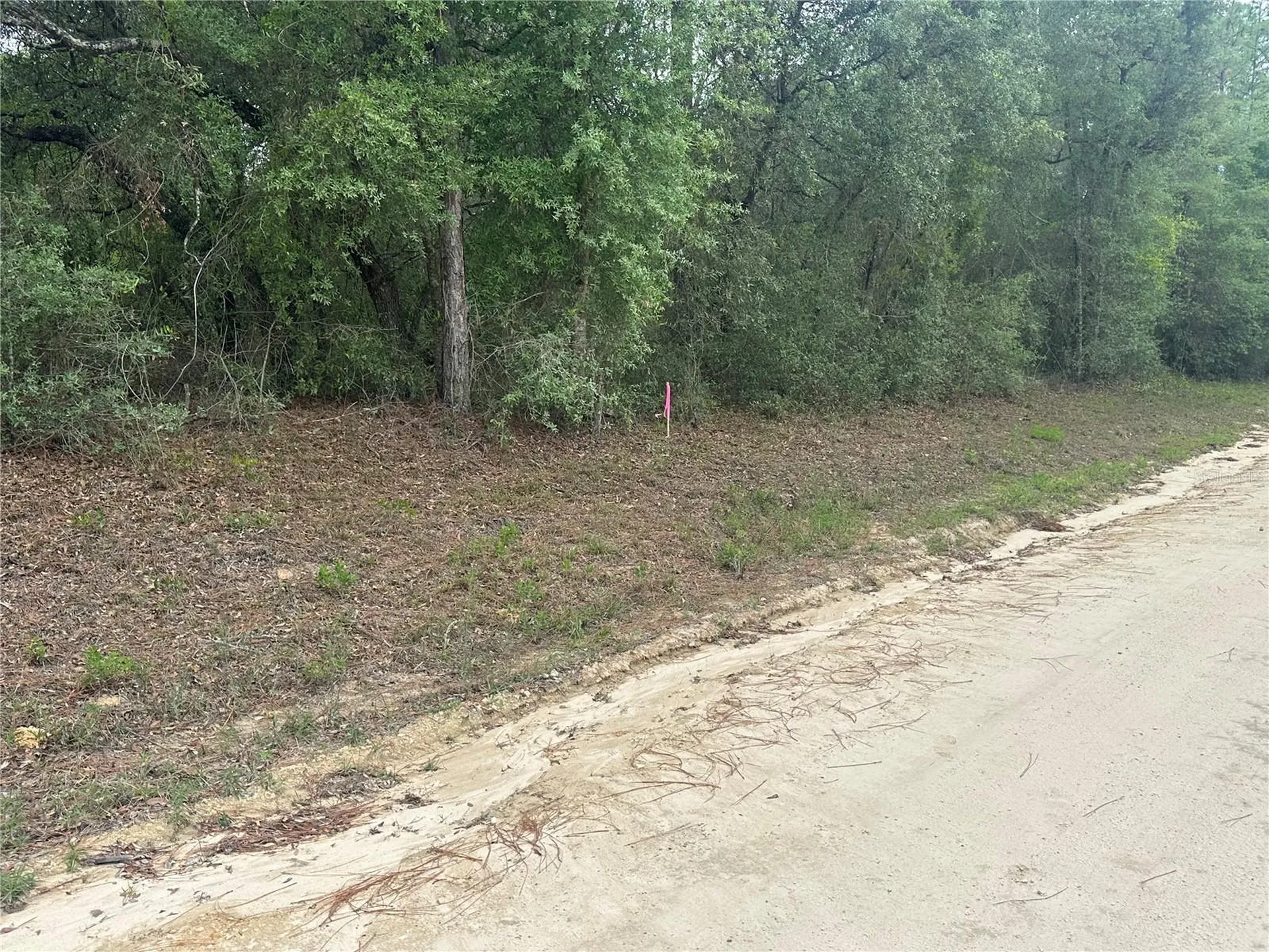 NE 112th Court Archer FL 32618