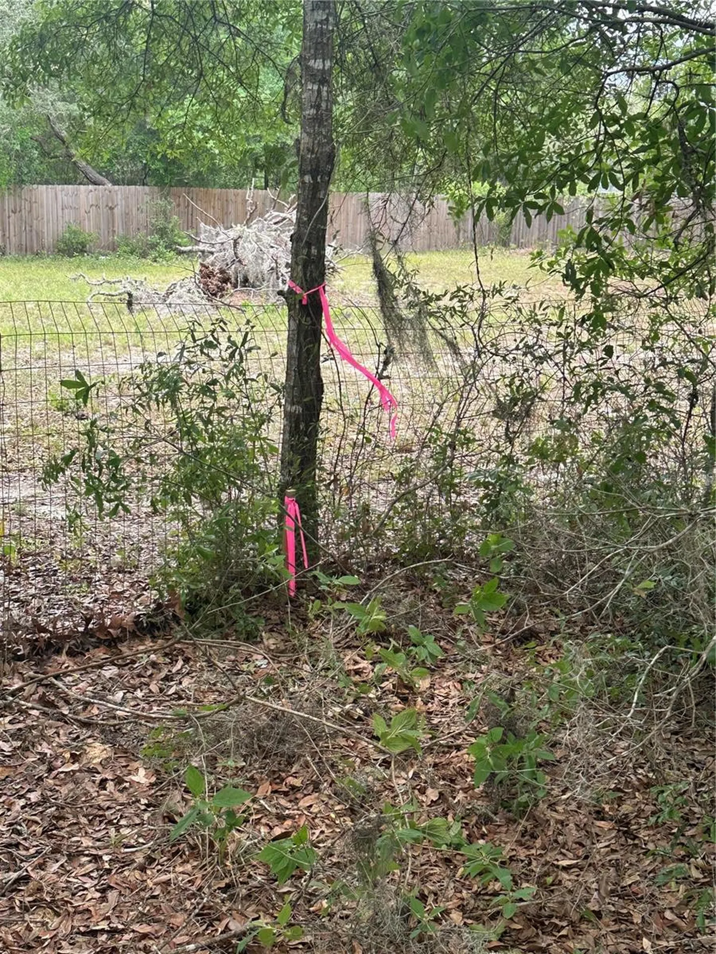 NE 112th Court Archer FL 32618