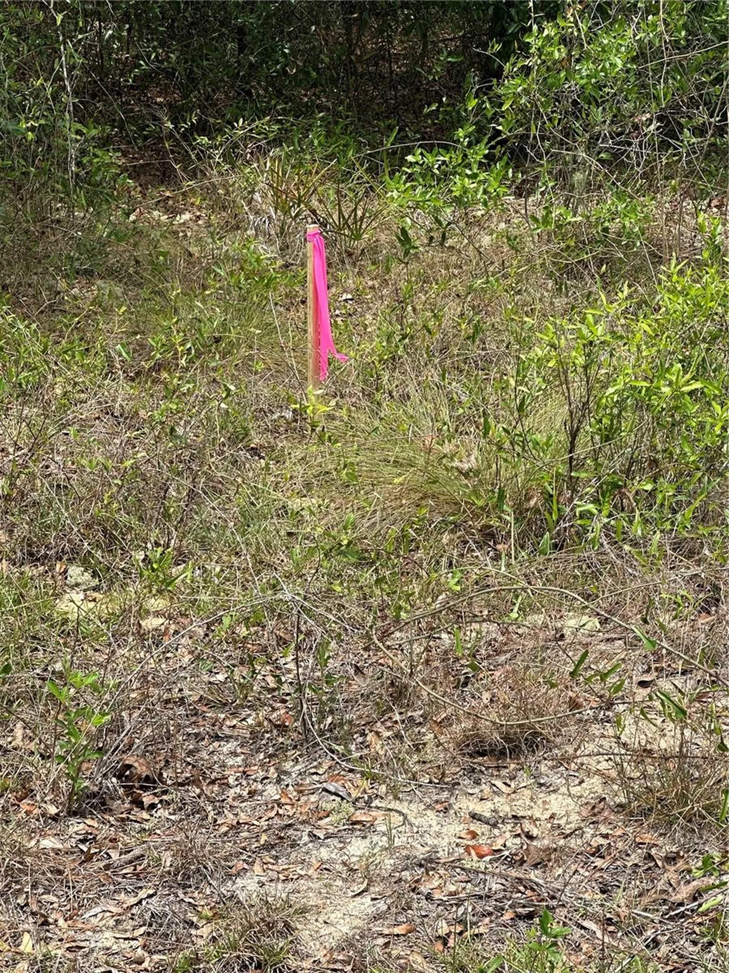 NE 112th Court Archer FL 32618