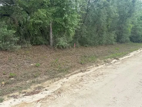 NE 112th Court Archer FL 32618