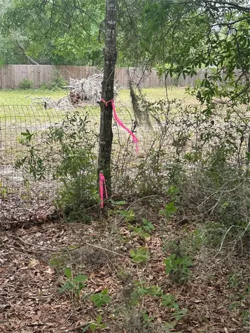 NE 112th Court Archer FL 32618